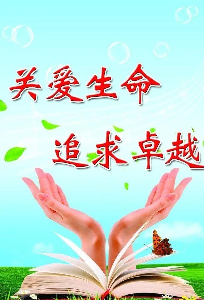 探索隐藏版特色小店，小巷深处的独特风味与最新时事评论文章