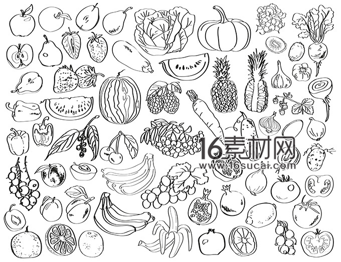 4949正版免费资料大全水果,具象化表达解说_EJH50.710社交版