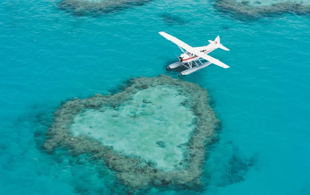 新澳最新最快资料新澳57期,海洋科学_YFA50.407快速版