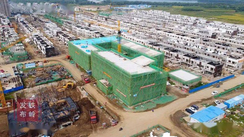 凡河新区人才争夺战，最新招聘观察与深度剖析