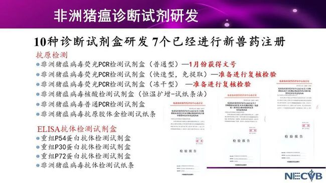 精准一肖100 准确精准的含义,安全设计解析说明法_GRQ50.485多维版