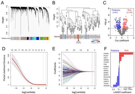 新澳最新最快资料351期,信息明晰解析导向_DYR50.323闪电版