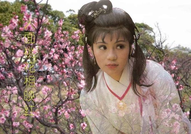 女侠野史黄蓉最新章节，英勇传奇的延续之火热连载中