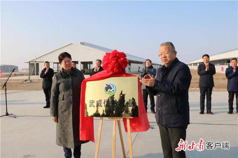 武威荣华集团，拥抱自然，探寻内心宁静之旅的最新动态