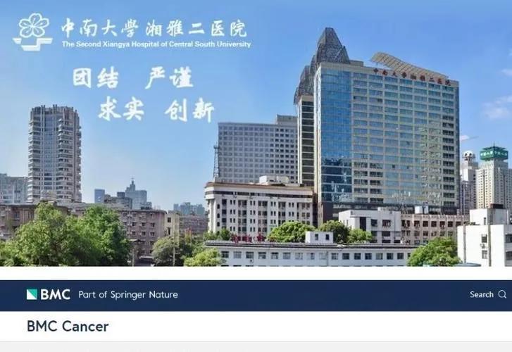 湖南司法改革最新动态，揭秘与小巷深处的法治之光