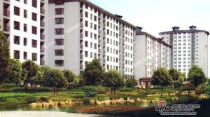 烟台柏林春天最新动态，全面更新指南