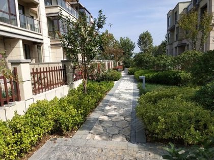 青建白鹭洲最新图片，城市崛起与时代印记的展现