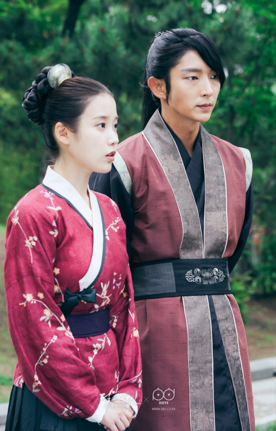 回顾步步惊心丽特别版，经典背后的故事与影响揭秘