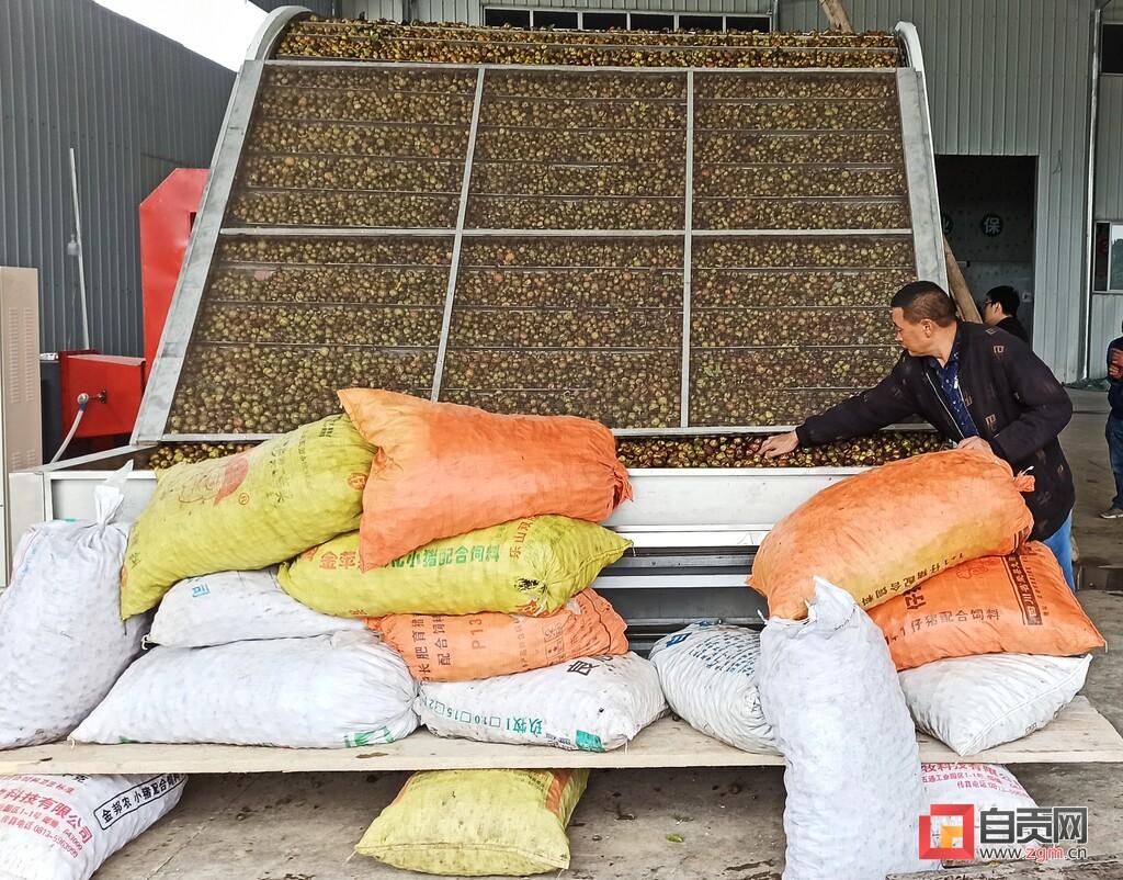 荣县最新城市规画揭秘，巷弄深处的特色小店成新亮点