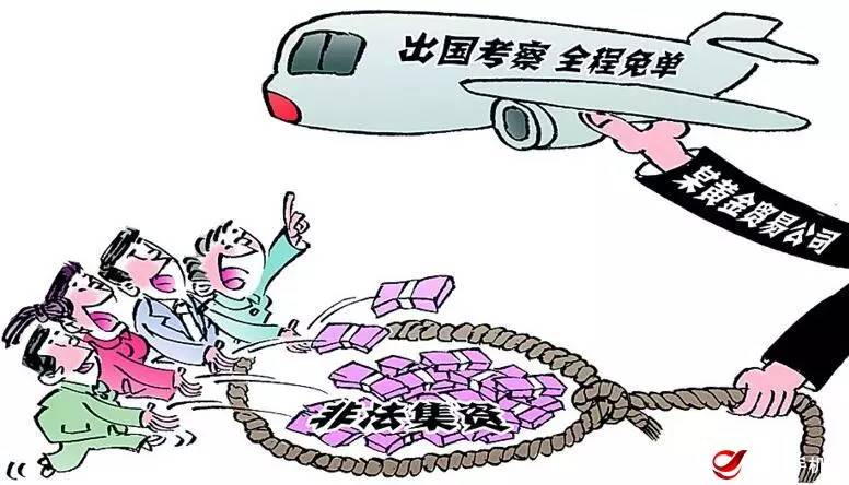 东盟非法集资最新动态，小巷中的隐秘风波