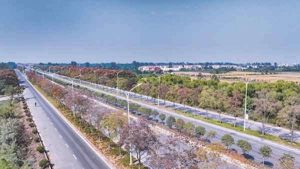 新洲问津大道科技革新动态，未来生活触手可及