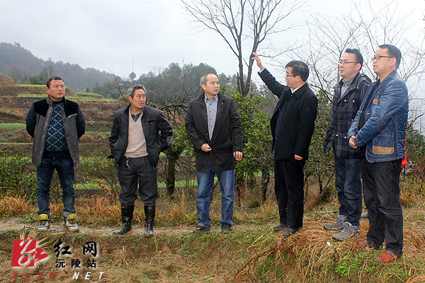 沅陵舒由华最新动态，学习之光照亮人生路