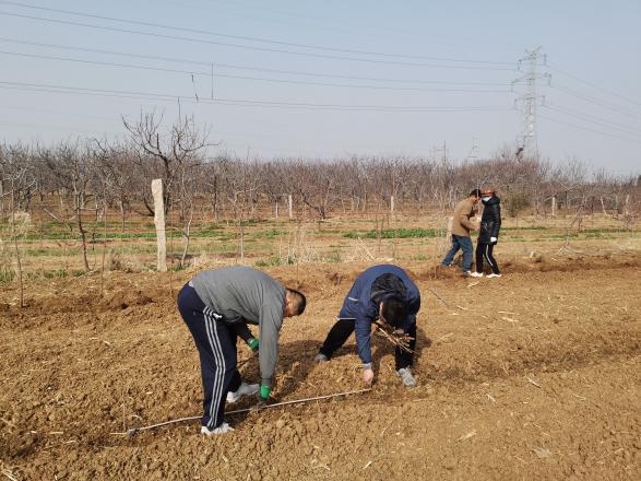 莱州市最新城市规划揭秘，未来城市蓝图惊艳亮相！