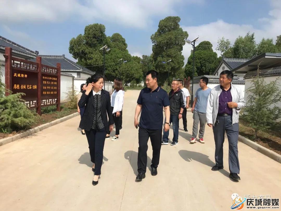 庆城县玄马镇最新新闻,庆城县玄马镇最新新闻，观点阐述