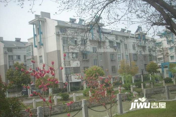 姜山镇二手房最新信息概览，最新房源、价格及交易动态一网打尽