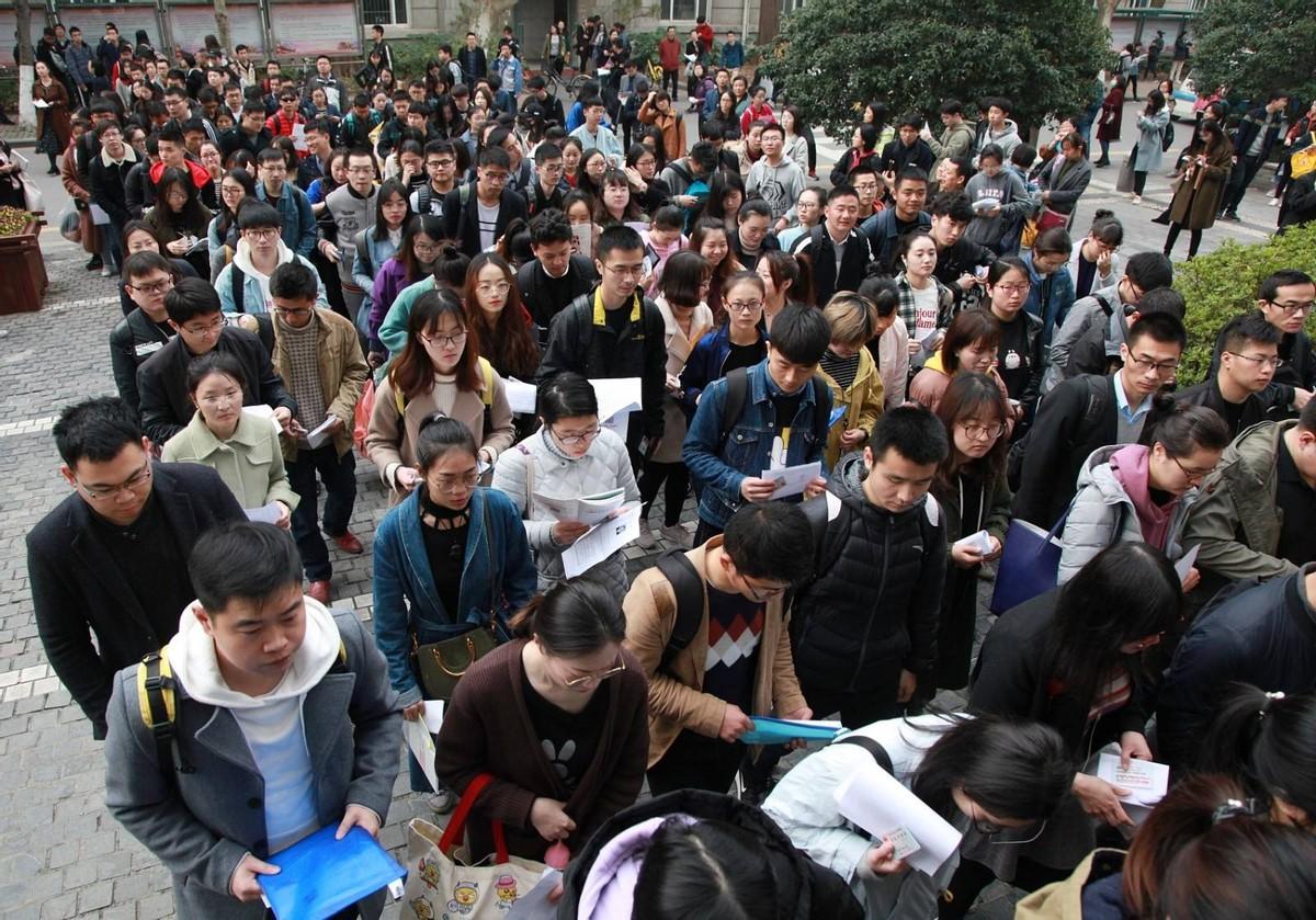 高校编制取消最新动态，步骤指南与消息速递