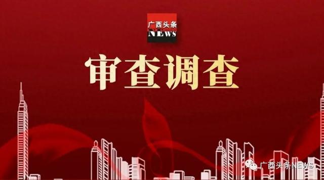 广西纪检监察一周动态更新，最新消息汇总