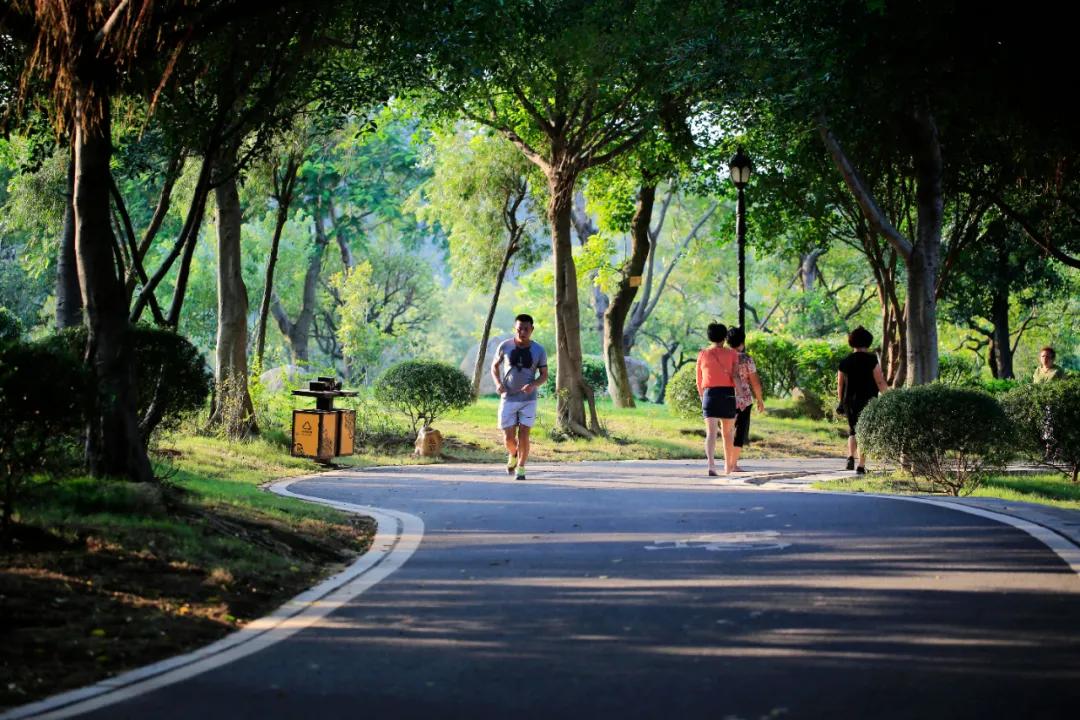 晋江崎山公园最新进展更新概况