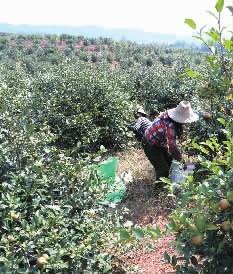 浏阳市两型产业园最新进展,与自然美景的遨游之旅