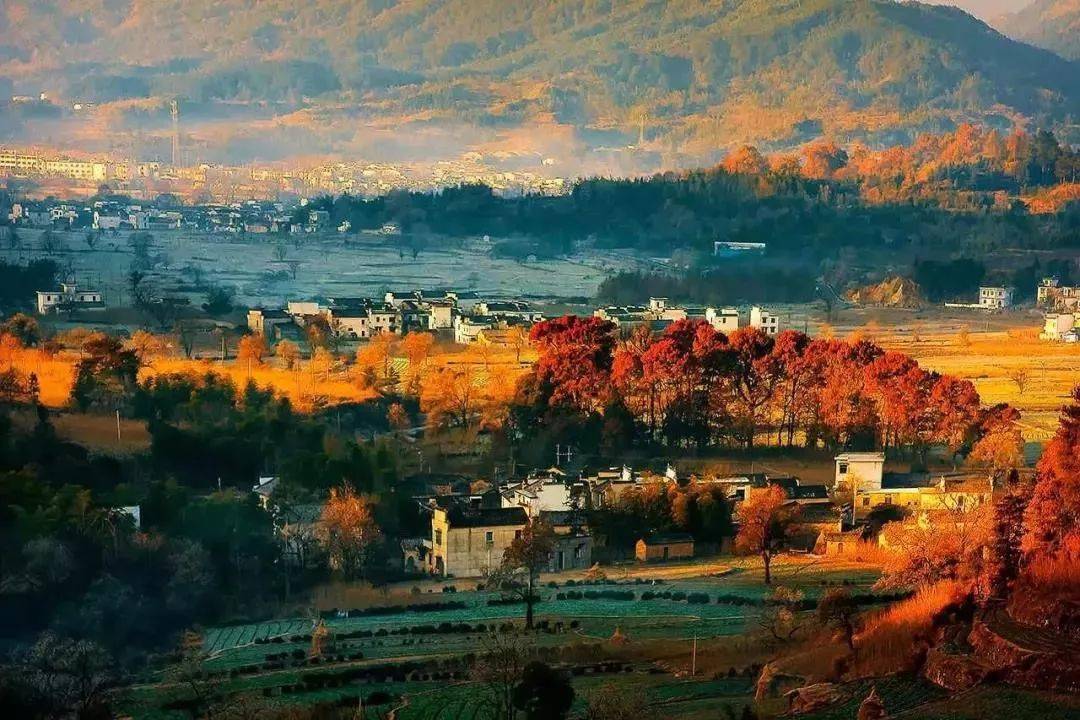 大贤村张二强的最新动态/消息更新