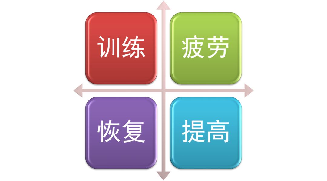 新奥门免费资料查询,全身心数据指导枕_NJK9.240跨界版