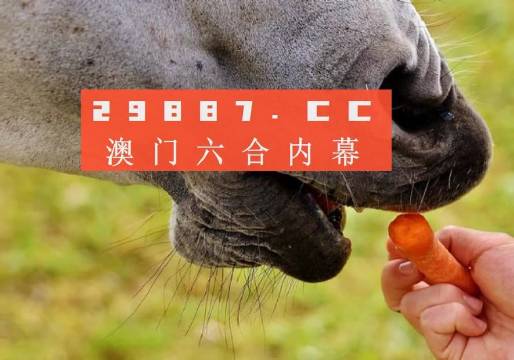 澳门金钥匙12码资料,高度协调实施_UHD84.712