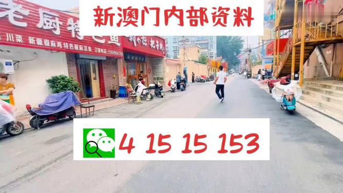 2024澳门天天开好彩正版资料大全,案例实证分析_云端版98.711