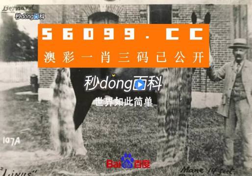 新澳门最准一肖一特,理论考证解析_沉浸版40.840
