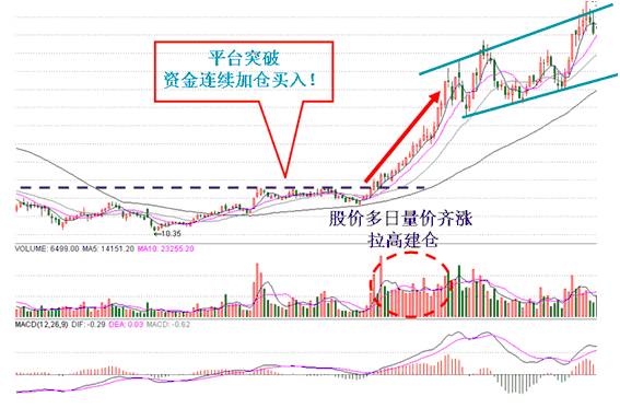 澳门今晚上开的特马,高度协调实施_时刻版45.887