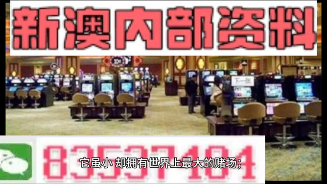 2024新澳门正版免费资料,2024,创新策略设计_私人版53.211