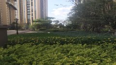 呈贡时代俊园最新消息,呈贡时代俊园最新消息，变化中的学习力量，自信与成就感的源泉