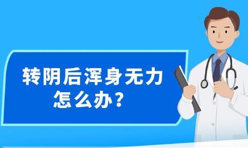 新澳精准资料免费提供,现代化解析定义_可变版6.717