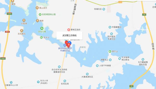武汉市蔡甸区最新动态更新