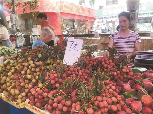 广西花生米最新价格行情动态更新