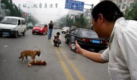 成武贴吧打架最新消息揭秘,小巷深处的独特风味探秘之旅