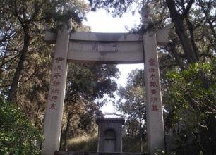 除雾器 第161页