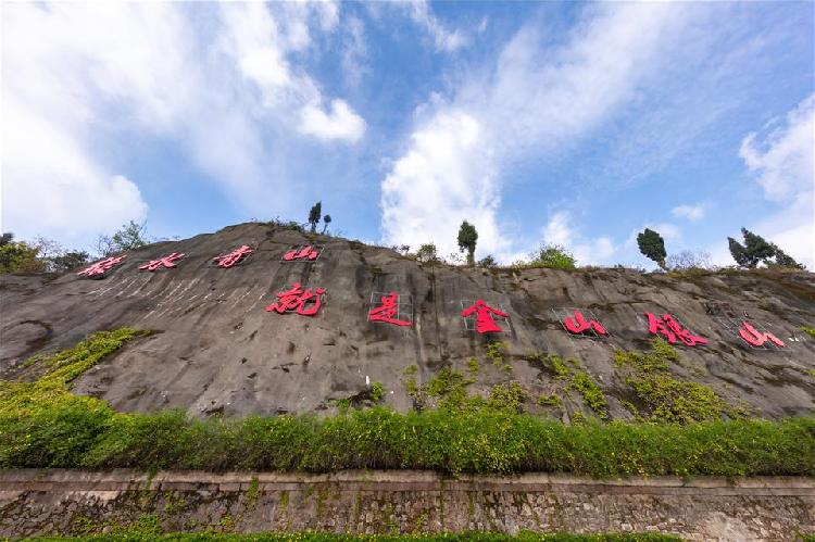 渝北区统大路最新动态更新