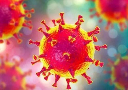 最新型的冠状病毒,最新型的冠状病毒,科学解读与应对建议