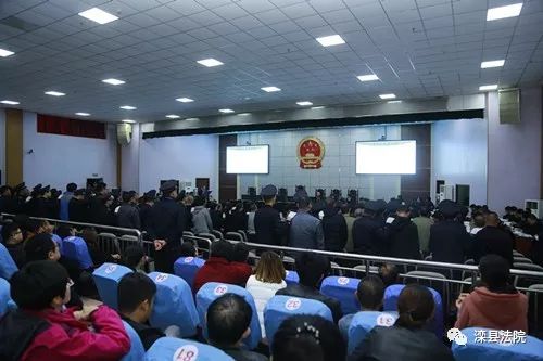 杨国全最新动态，成功背后的故事揭晓