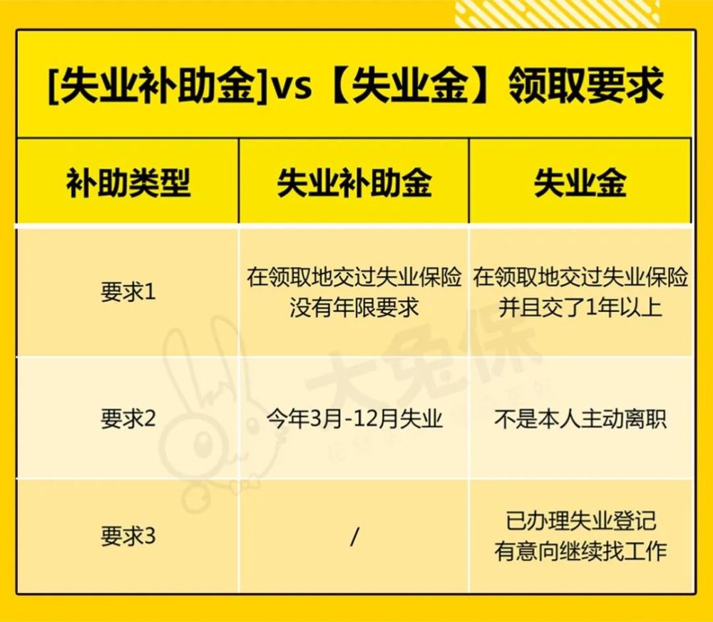 失业金补助最新政策与小巷独特风味小店的探寻之旅