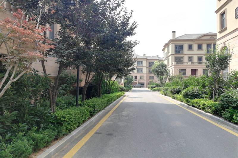 邹城鲁香山最新动态，变化中的力量与学习魅力的展现