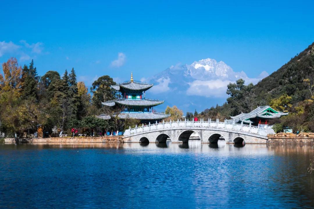 国道条最新更新，励志之路启航前行
