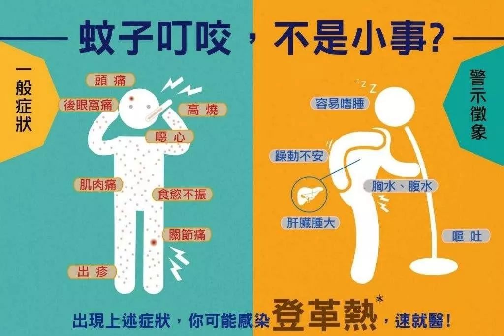 广东登革热最新动态及预防应对指南(初学者与进阶用户必备知识)