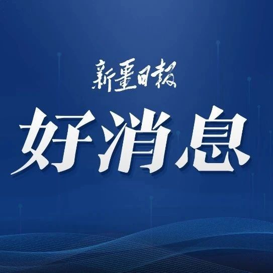 最新动态，深度论述某某观点
