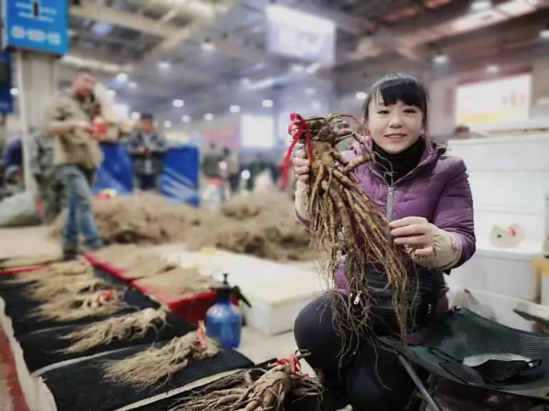 万良人参市场最新资讯，寻找内心平静的旅行之旅