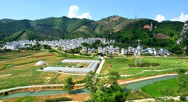 田阳最新网，连接信息世界的新桥梁