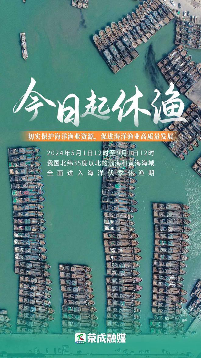 最新休渔时间揭秘，你准备好了吗？开启海洋保护之旅！