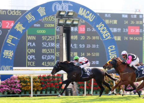 2024年香港买马资料,快速解决方式指南_RZU29.460编辑版