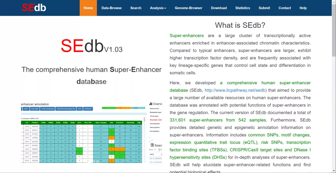 新澳门历史开奖记录查询今天,数据详解说明_BRB29.823设计师版