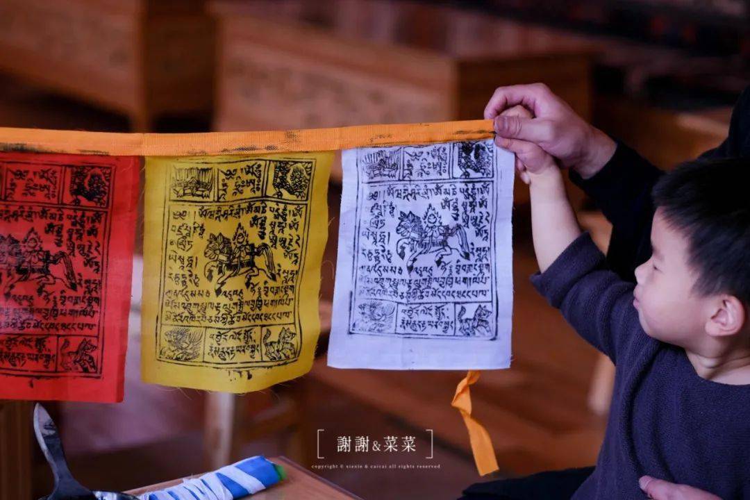 澳门天天彩免费资料大全免费查询狼披羊皮,蛇藏龟壳,机制评估方案_EPI29.570超级版